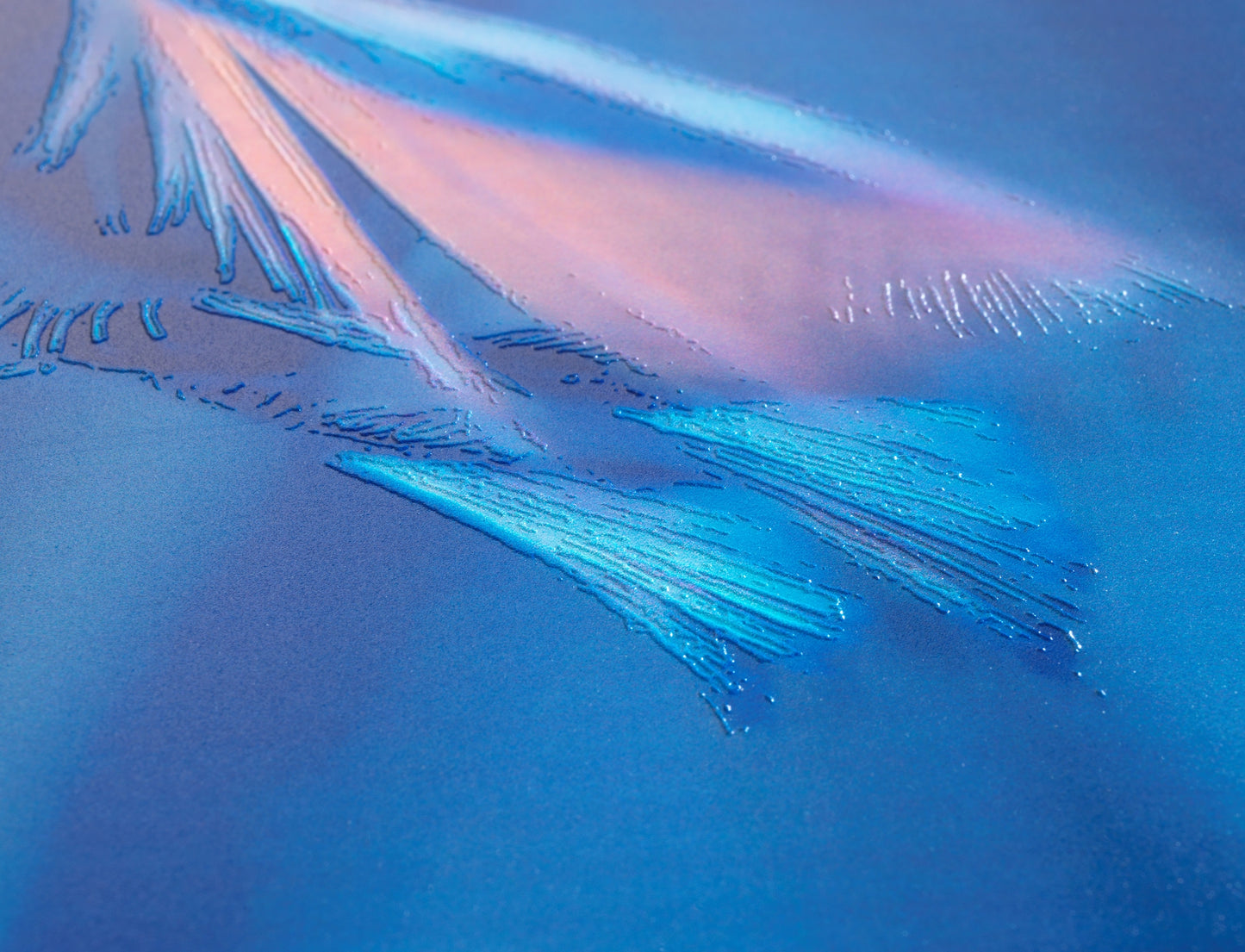 WC-Sitz Softness, Duroplast, embossed
